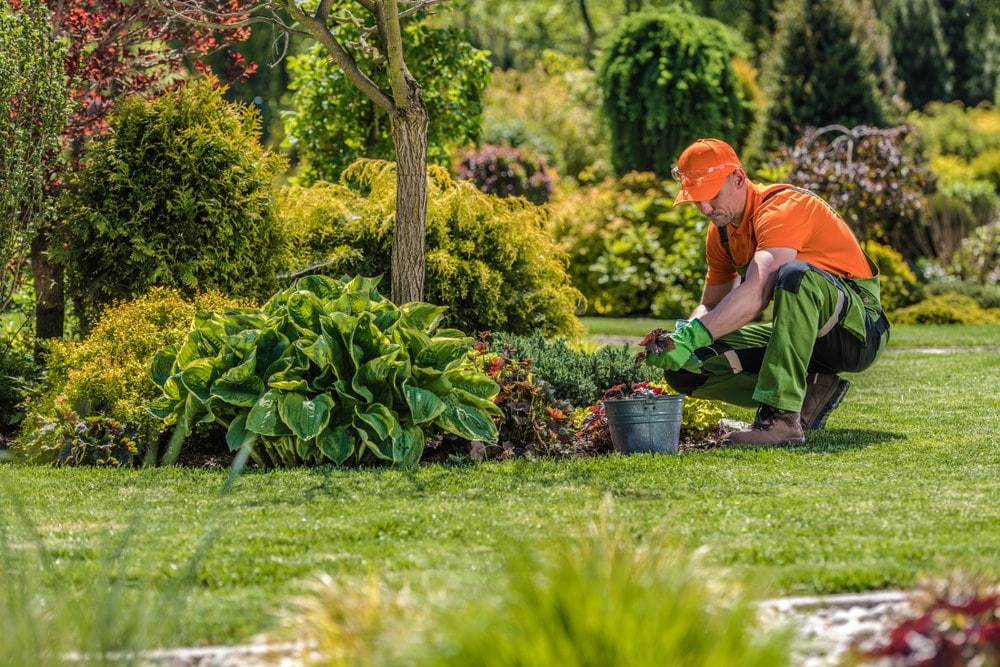 Landscape maintenance - Maintain Your Landscape Throughout the Seasons