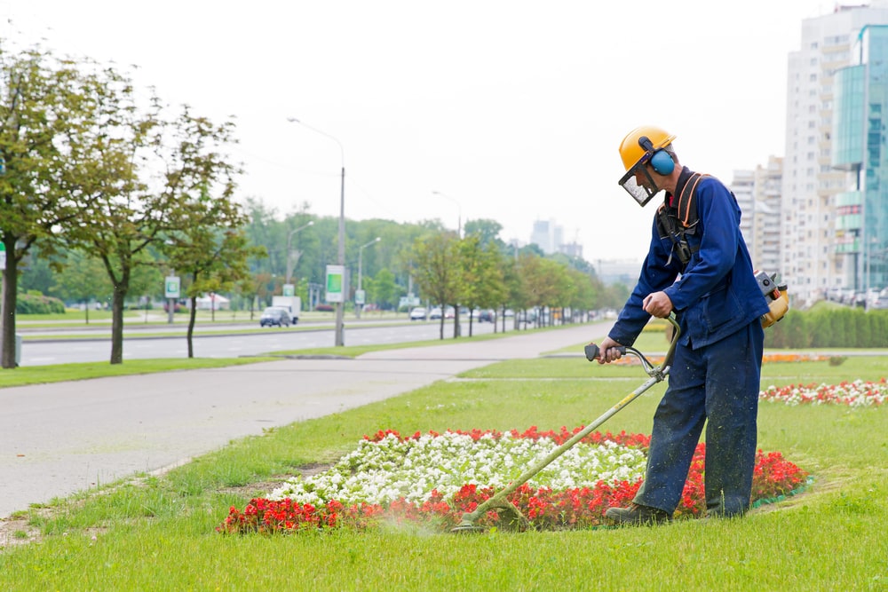 Professional services for landscape maintenance - Maintain Your Landscape Throughout the Seasons