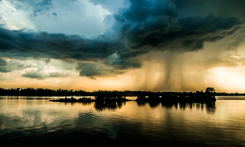 Hurricane in new orleans - Preserving Your Landscape Amidst Hurricane Season