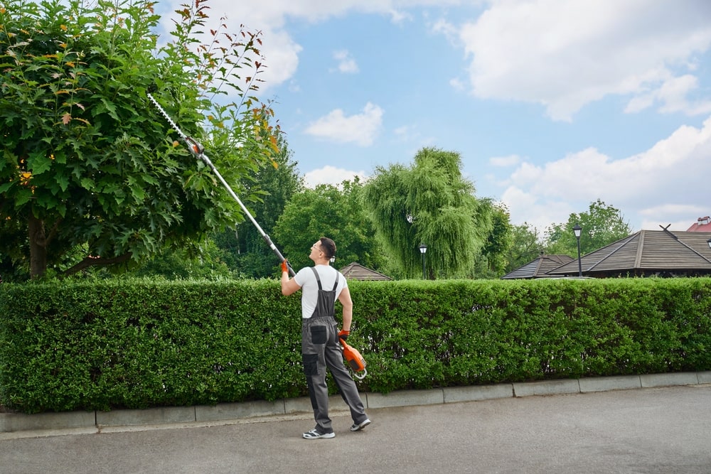 Professional gardener in Slidell using modern electric cutter for tree trimming during summer