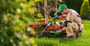 Caucasian Garden and Landscaping Services Contractor performing spring garden maintenance work, highlighting our landscape service offerings.