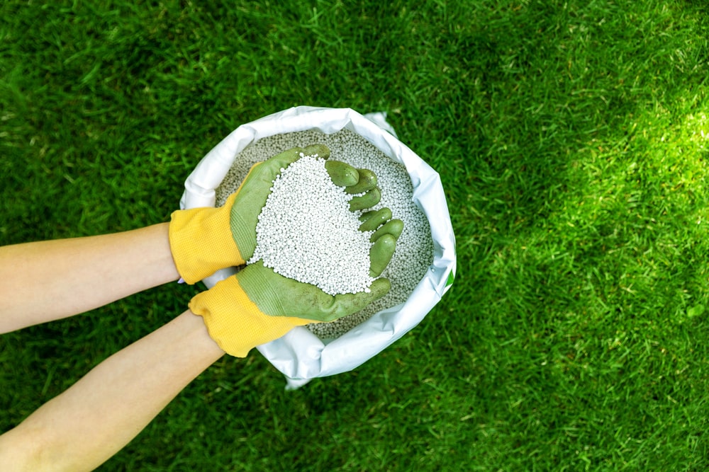 Lawn nourished with granular fertilizer for perfect green grass, as part of our advanced fertilization techniques in New Orleans.