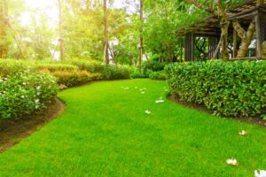Smooth, green lawn with Plumeria flowers, trees, and wooden trellis, part of the New Orleans landscape services