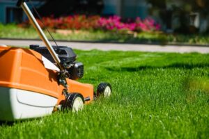 Close-up of a lawnmower cutting fresh summer grass, illustrating the Mowing section in our Ultimate Guide to Lawn Maintenance in Slidell, Louisiana